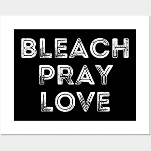 Funny Cleaning Bleach Pray Love Posters and Art